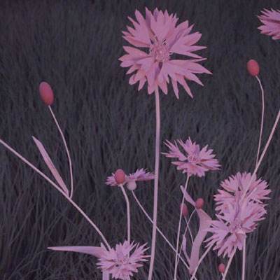 im电竞官方官网